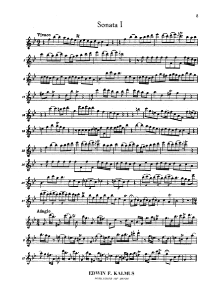 Six Sonatas in Canon Form
