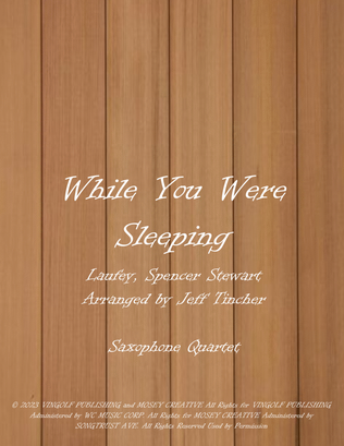 Book cover for While You Were Sleeping