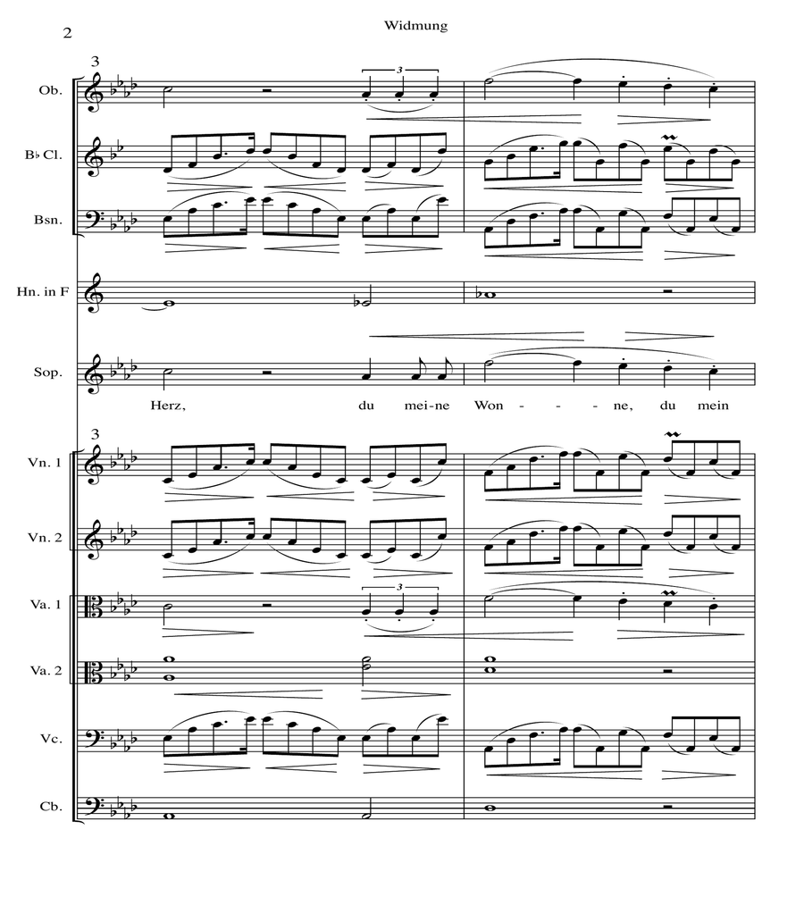 Robert Schumann - Widmung (from the song cycle Myrten, Op. 25) Chamber Orchestra scores gallery preview page 2