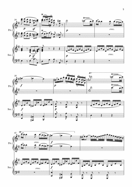 Mozart Sonata in D, K. 448 for 2 Pianos (2nd movement) Arranged for 1 piano-4 hands by Philip Kim