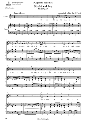 Book cover for Siroke rukavy, Op. 55 No. 6 (E-flat Major)
