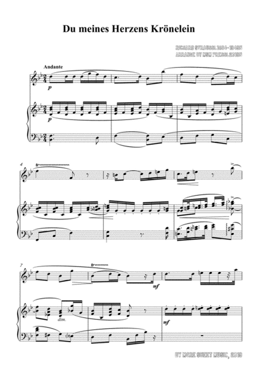 Richard Strauss-Du meines Herzens Krönelein, for Violin and Piano image number null