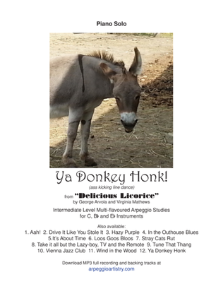 Book cover for Ya Donkey Honk, Piano Solo