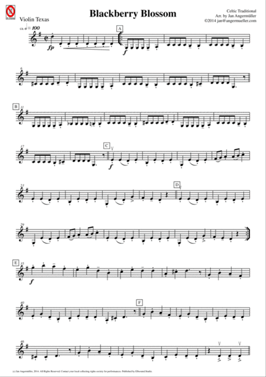 Blackberry Blossom (for mixed school orchestra) Chamber Orchestra scores gallery preview page 4