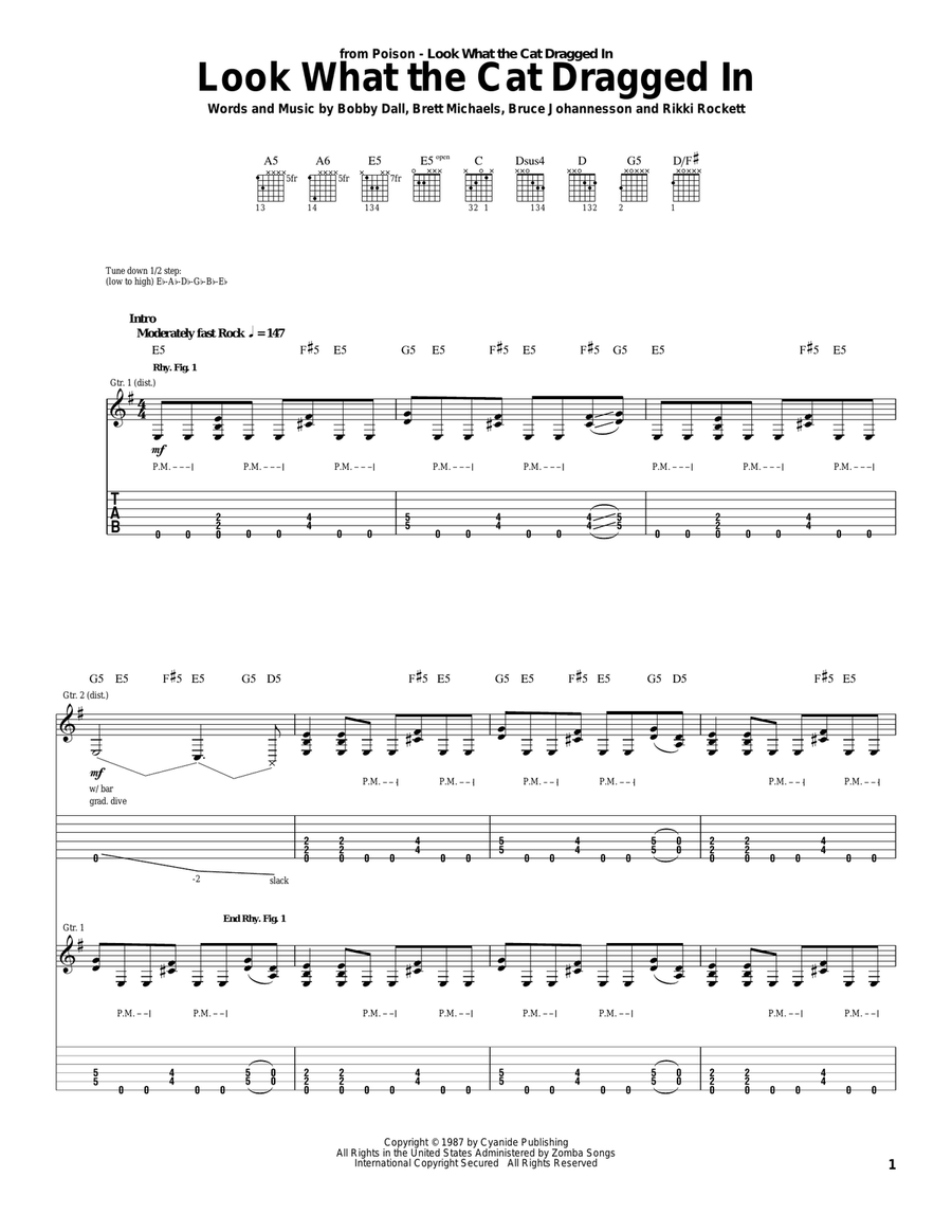 Look What The Cat Dragged In Acoustic Guitar scores gallery preview page 1