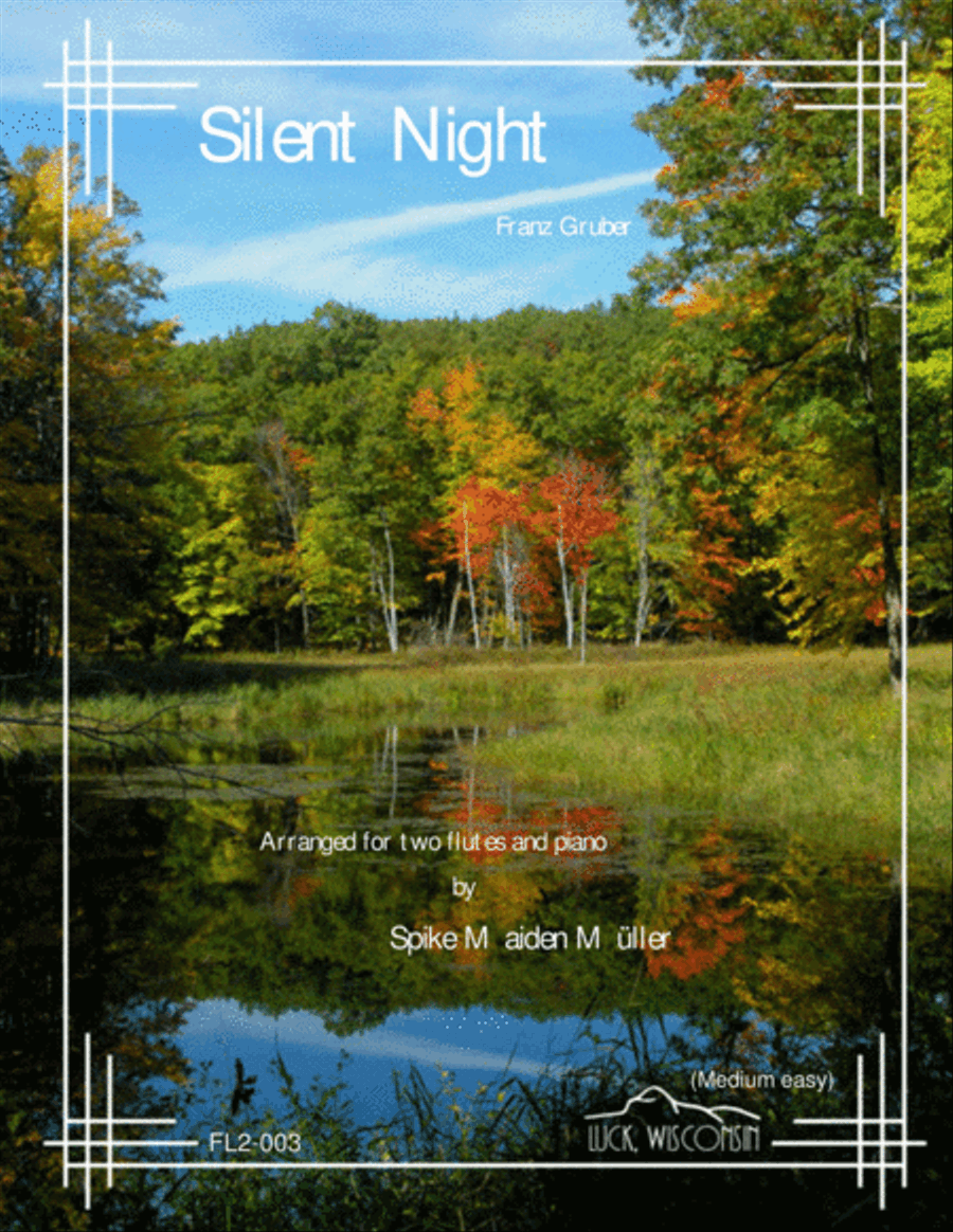 Book cover for Silent Night