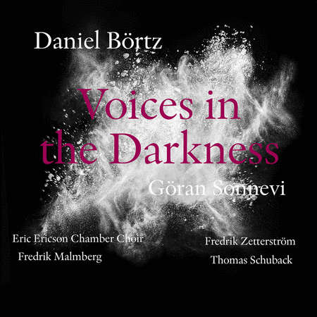 Daniel Bortz: Voices in the Darkness