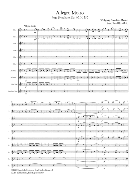 Allegro Molto from Symphony No. 40 for Flute Orchestra