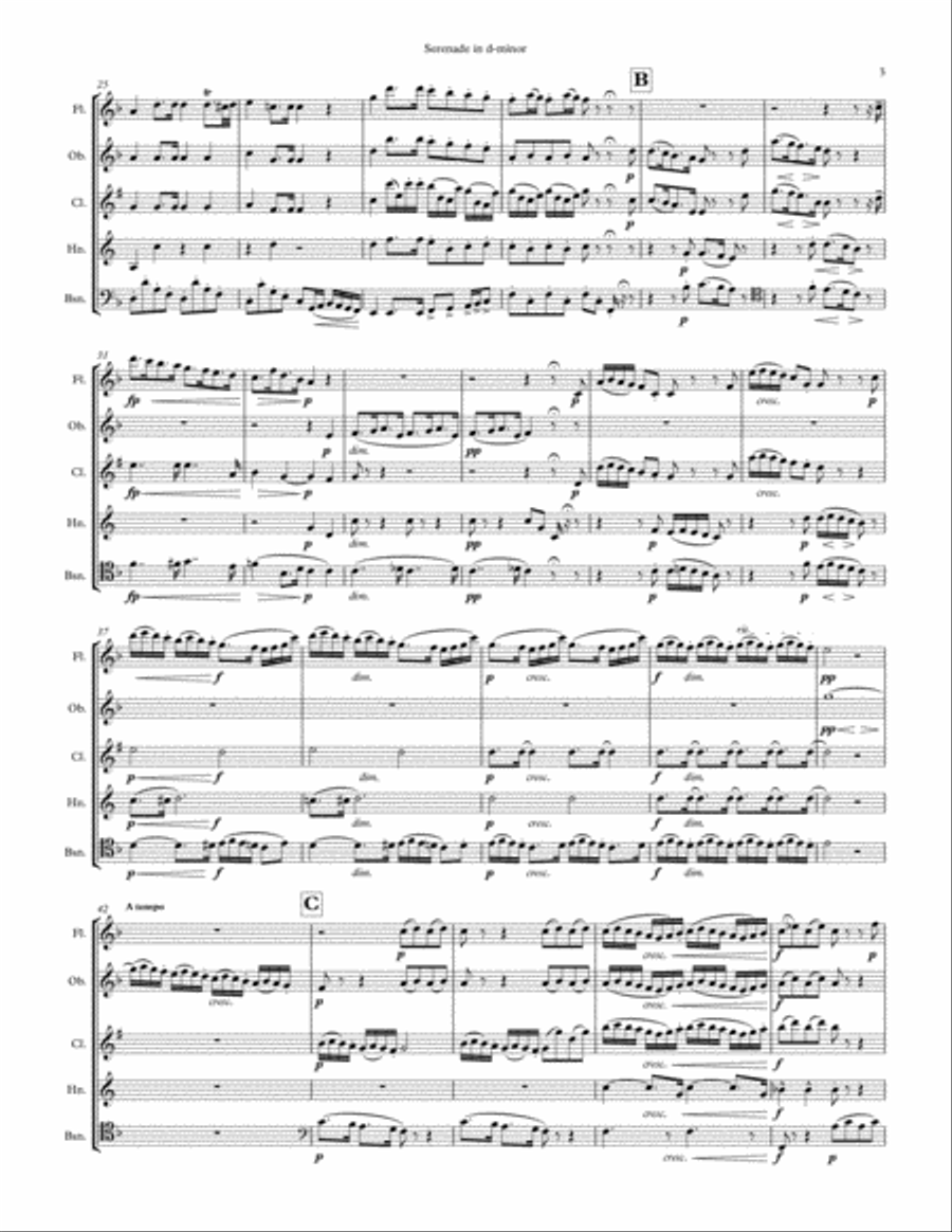 Serenade for Winds, Cello and Bass in d-minor for Winds arranged for Wind Quintet Small Ensemble scores gallery preview page 3