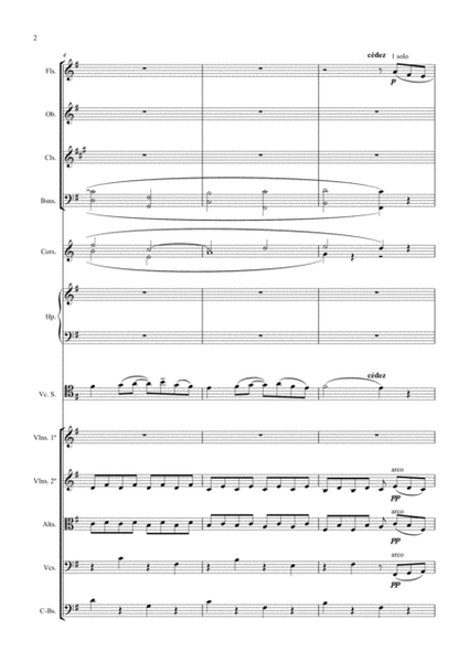 Ravel, Pavane pour une infante défunte, Cello et Orchestre image number null