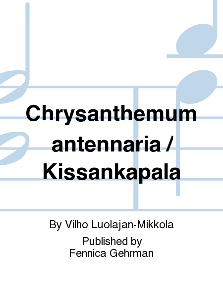 Chrysanthemum antennaria / Kissankapala