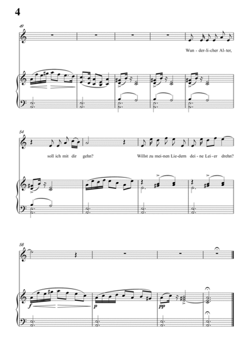 Schubert-Der Leiermann in a minor,Op.89 No.24,for Vocal and Piano