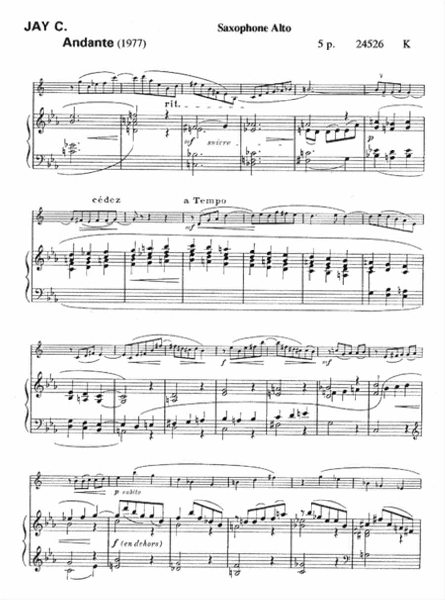 Andante Piano Accompaniment scores gallery preview page 2