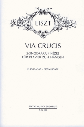 Book cover for Via crucis
