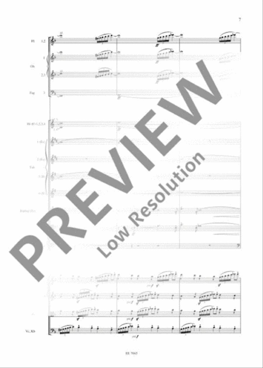 Die Walküre Orchestra scores gallery preview page 20