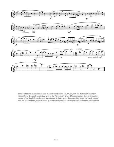 Boulder Rags - Arranged for Flute, Clarinet and Bass Clarinet - Flute Part