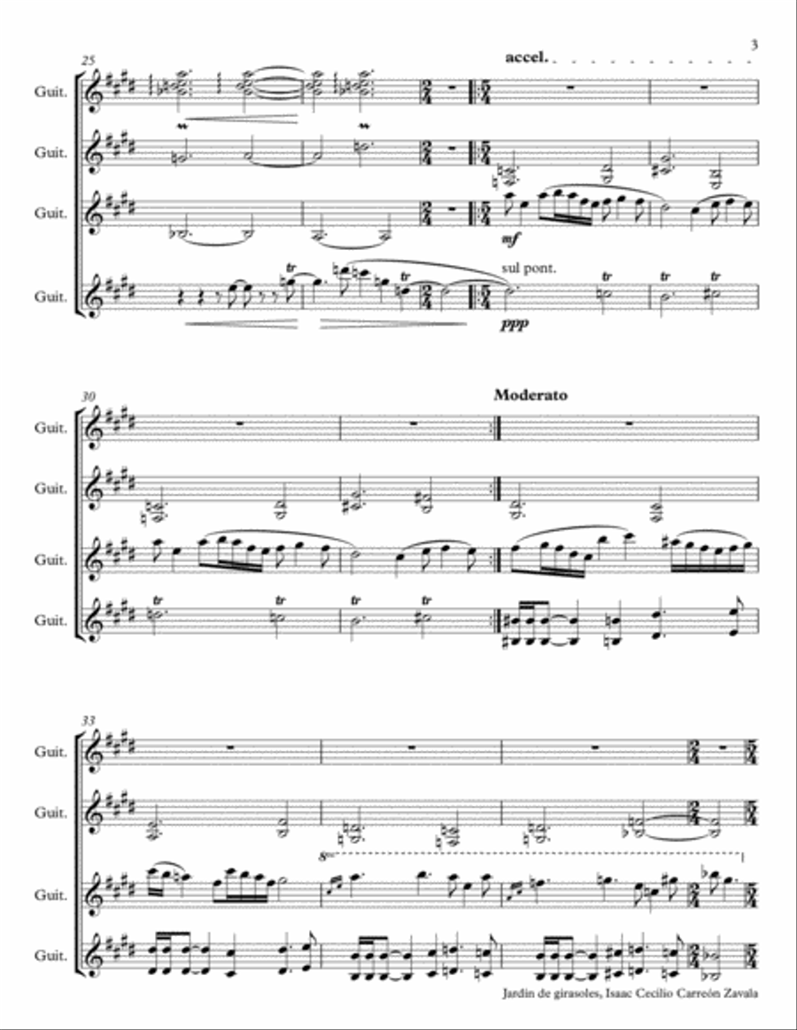 Jardín de girasoles (Sunflower´s Garden) Guitar Ensemble scores gallery preview page 3