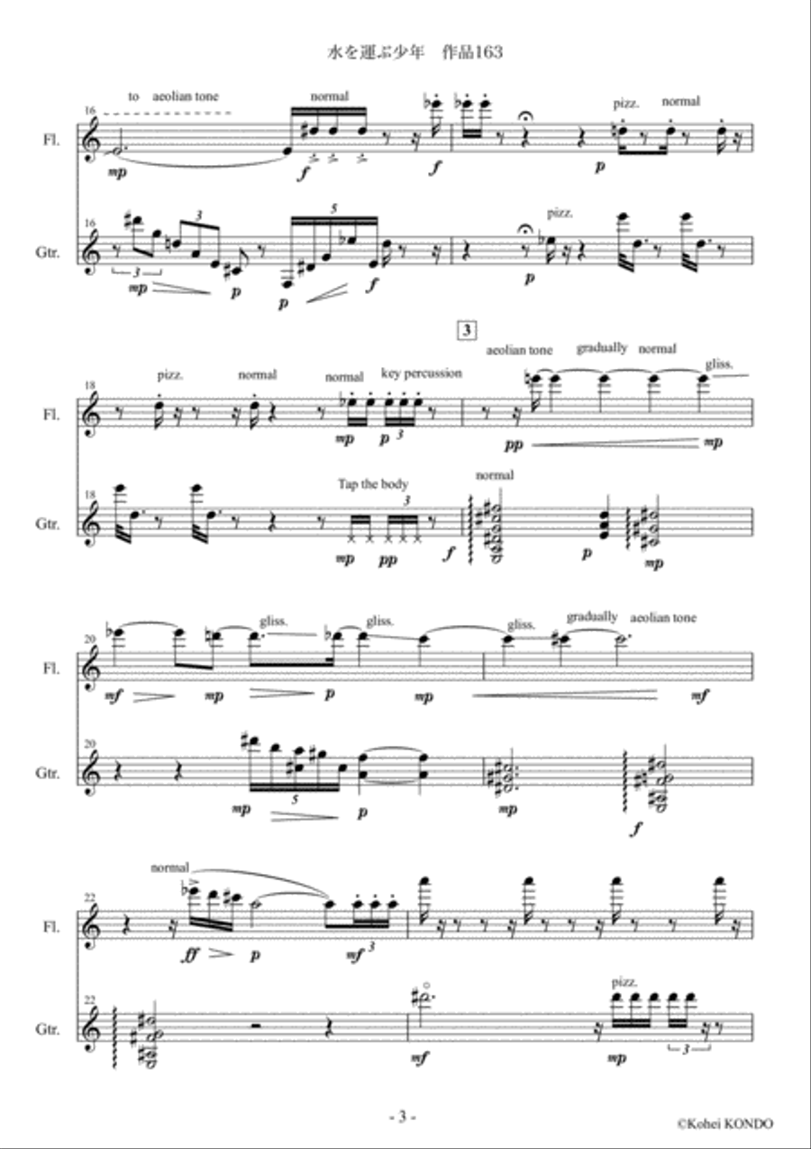 Trail to the water place Op.163 Duet for Flute and Guitar image number null