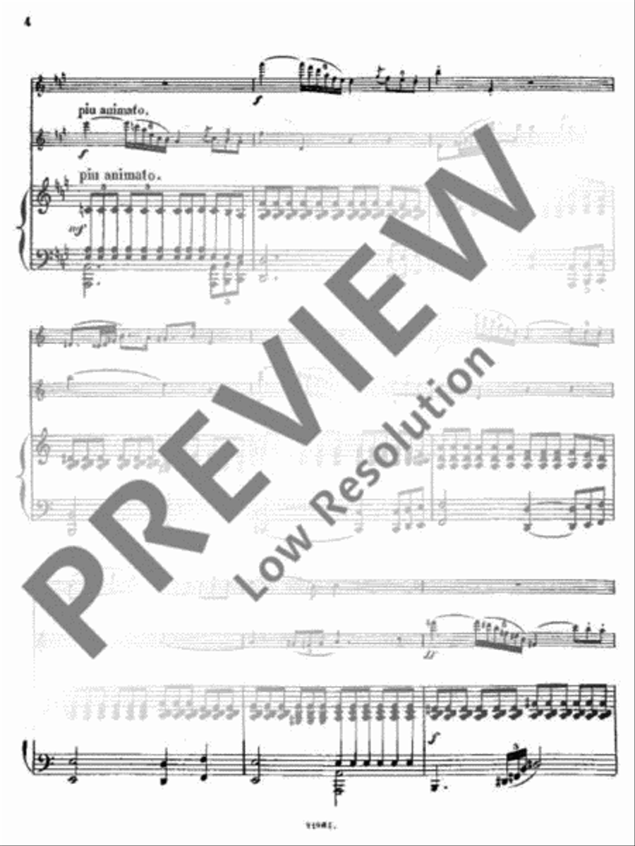 Andante et Rondo Flute Duet scores gallery preview page 5
