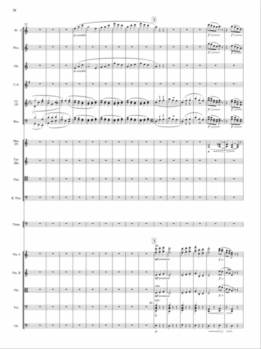 Symphony No. 5 Symphony No. 5 Full Orchestra scores gallery preview page 9
