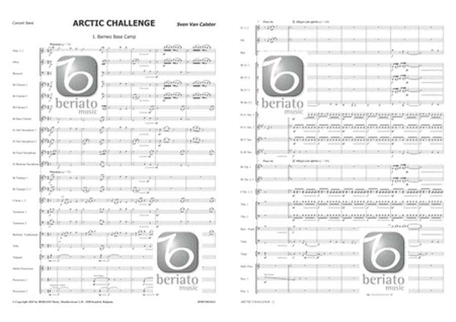 Arctic Challenge