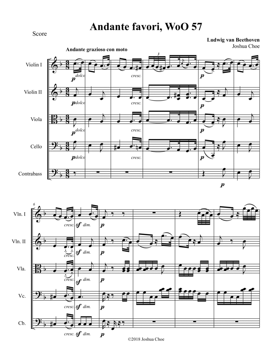 Andante Favori String Orchestra scores gallery preview page 1