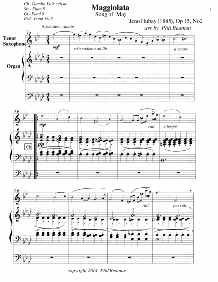 Maggiolata-Hubay-Tenor Saxophone/Organ image number null