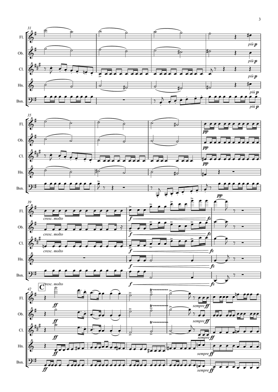 Grieg: Holberg Suite Op.40 - wind quintet Woodwind Quintet scores gallery preview page 3