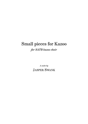 Book cover for Small pieces for Kazoo SATB