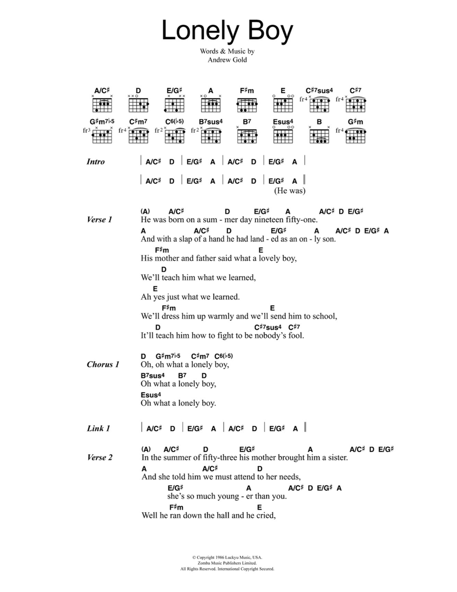 Lonely Boy Lonely Boy Acoustic Guitar scores gallery preview page 1