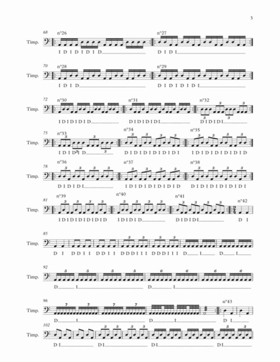 Study of the orchestral timpani