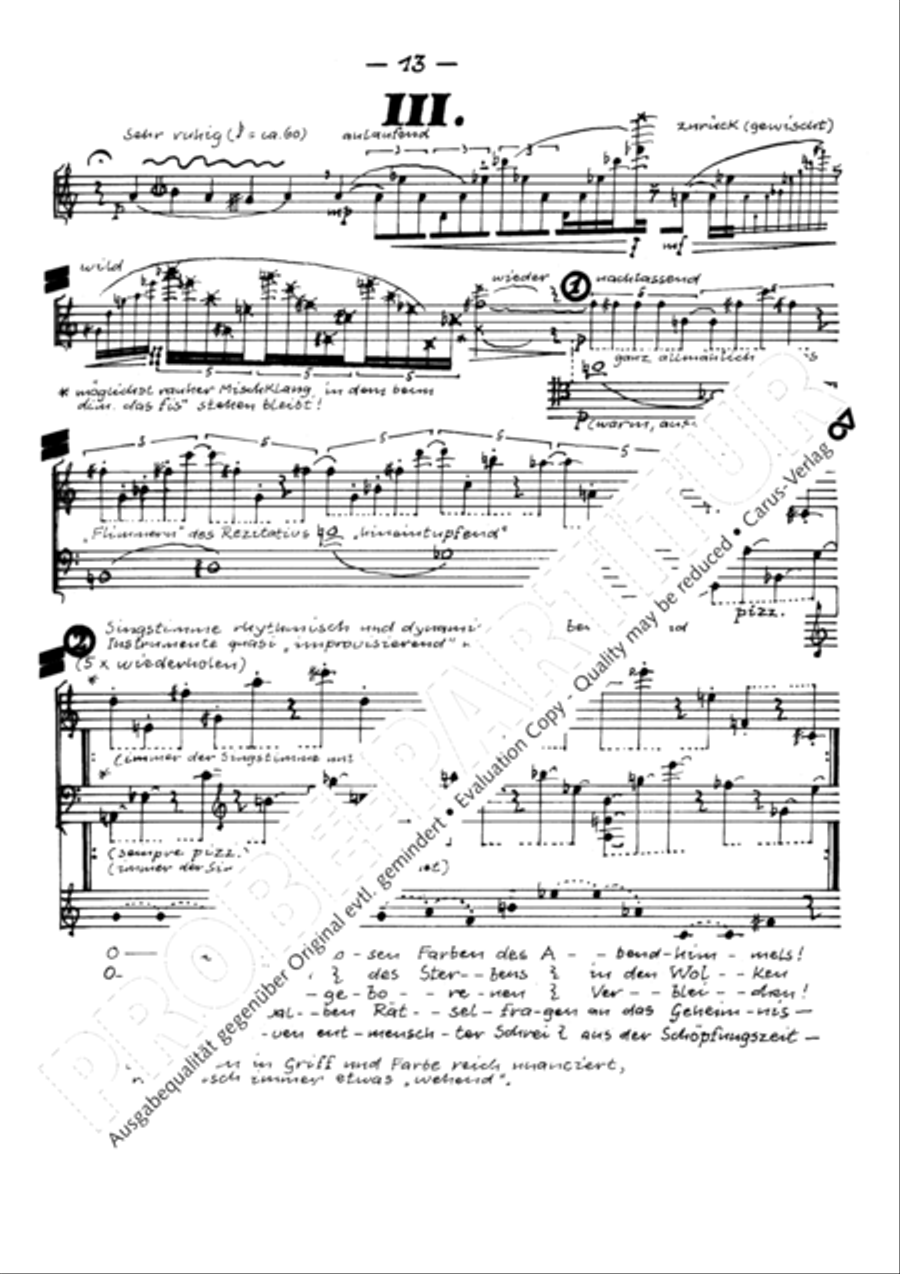 Todesblumen Todesblumen Flute scores gallery preview page 16