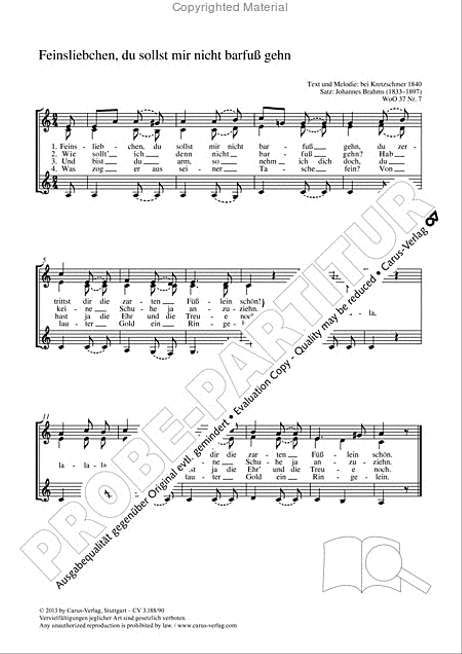 Feinsliebchen, du sollst mir nicht barfuss gehen SSA scores gallery preview page 2