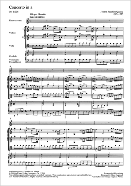Flute Concerto in A minor (Concerto per Flauto in a)