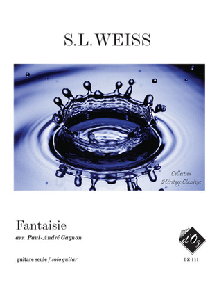 Book cover for Fantaisie en Ré mineur