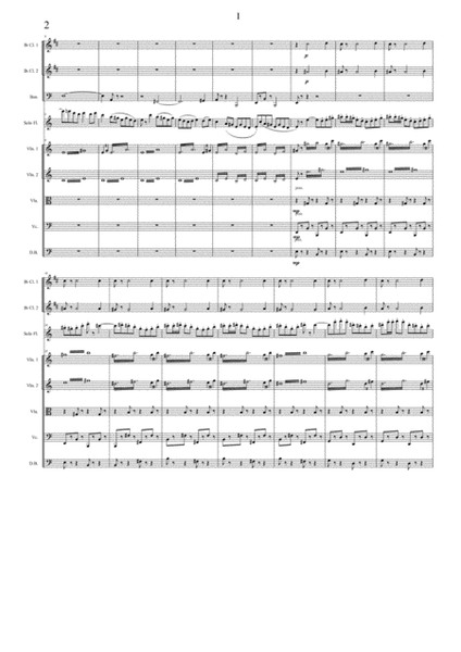 Flute Concerto, op. 17