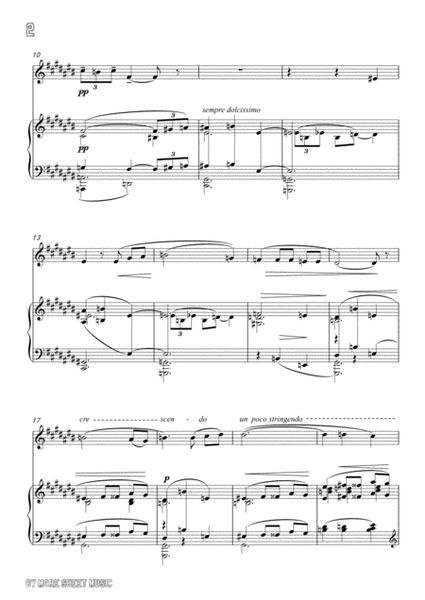 Debussy-The Shadow of Trees. for Flute and Piano image number null