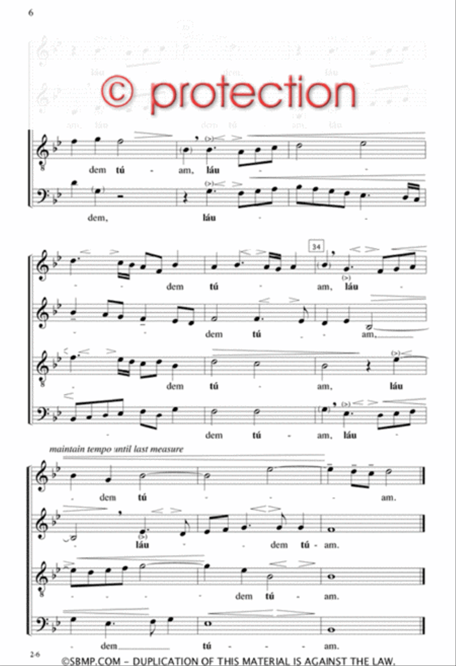 Domine, labia mea aperies - SATB Octavo SSAA scores gallery preview page 5