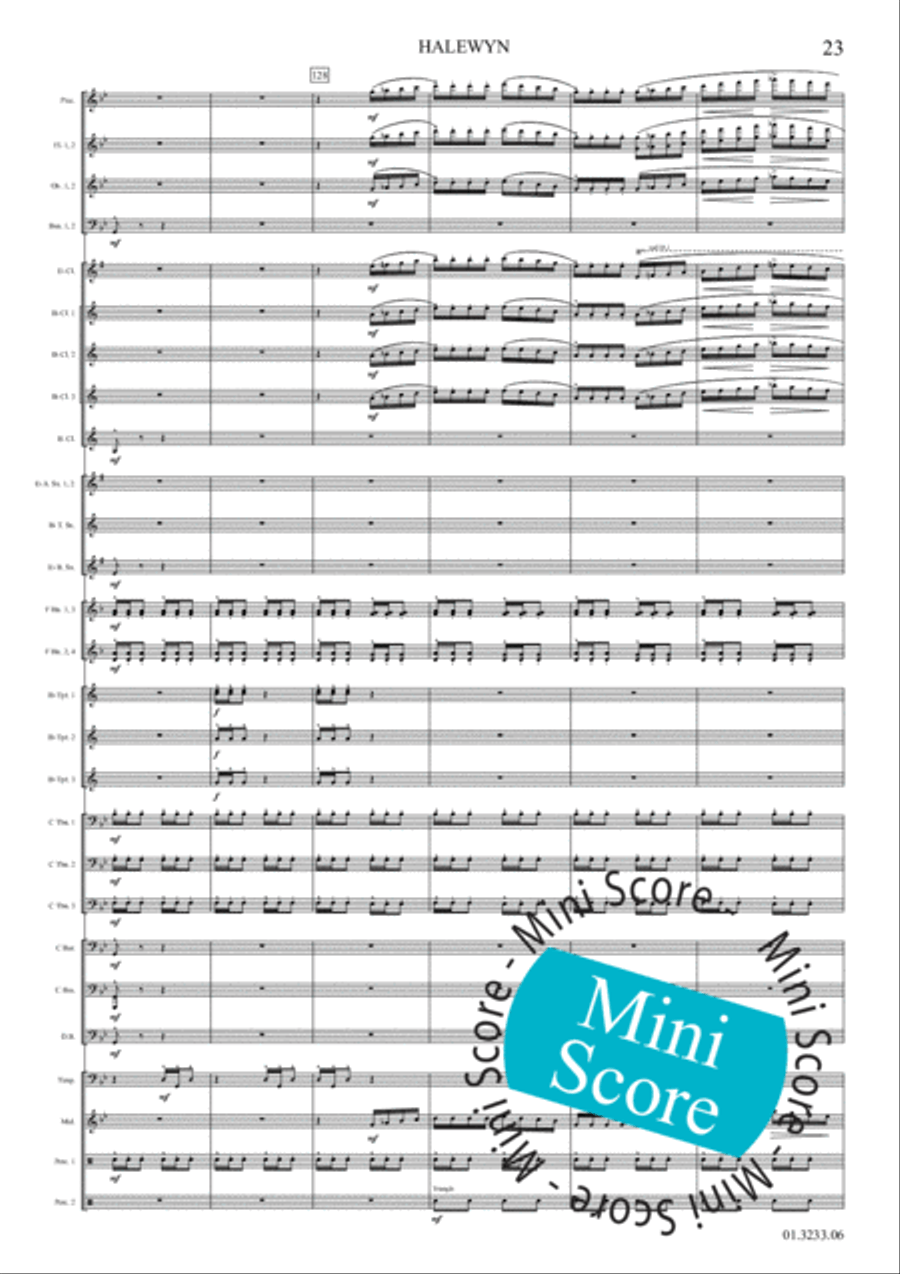 Halewijn Concert Band scores gallery preview page 29