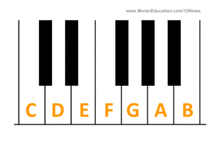 Piano and Keyboard Note Names Flash Cards