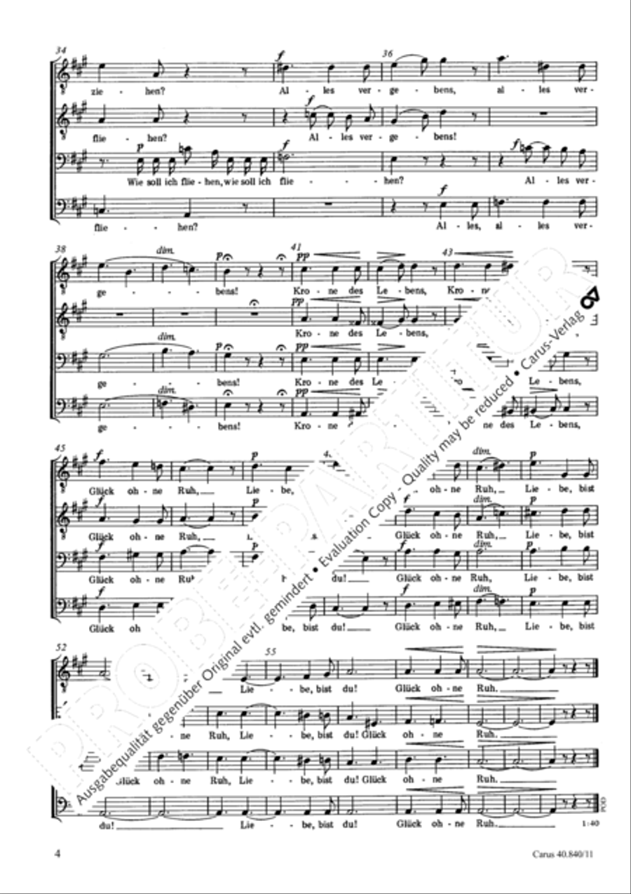 Rastlose Liebe Rastlose Liebe TTBB scores gallery preview page 5