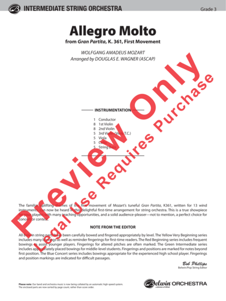 Allegro Molto Allegro Molto String Orchestra scores gallery preview page 2