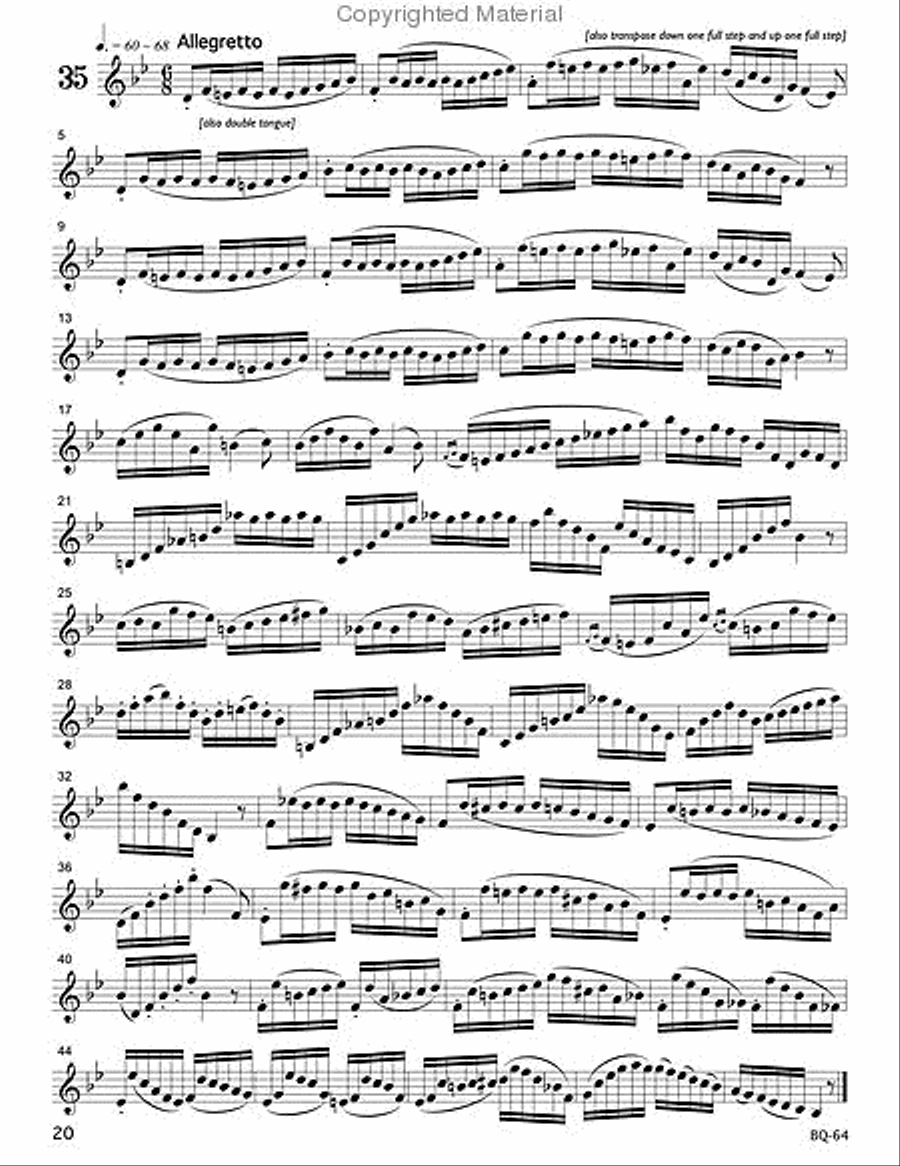 104 Progressive Exercises (1903) for Cornet Or Trumpet Vol. 1 Cornet scores gallery preview page 2