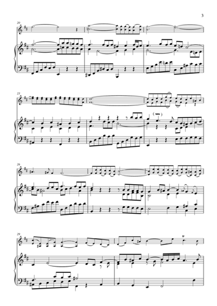 Violin & Piano BWV 1014 B minor