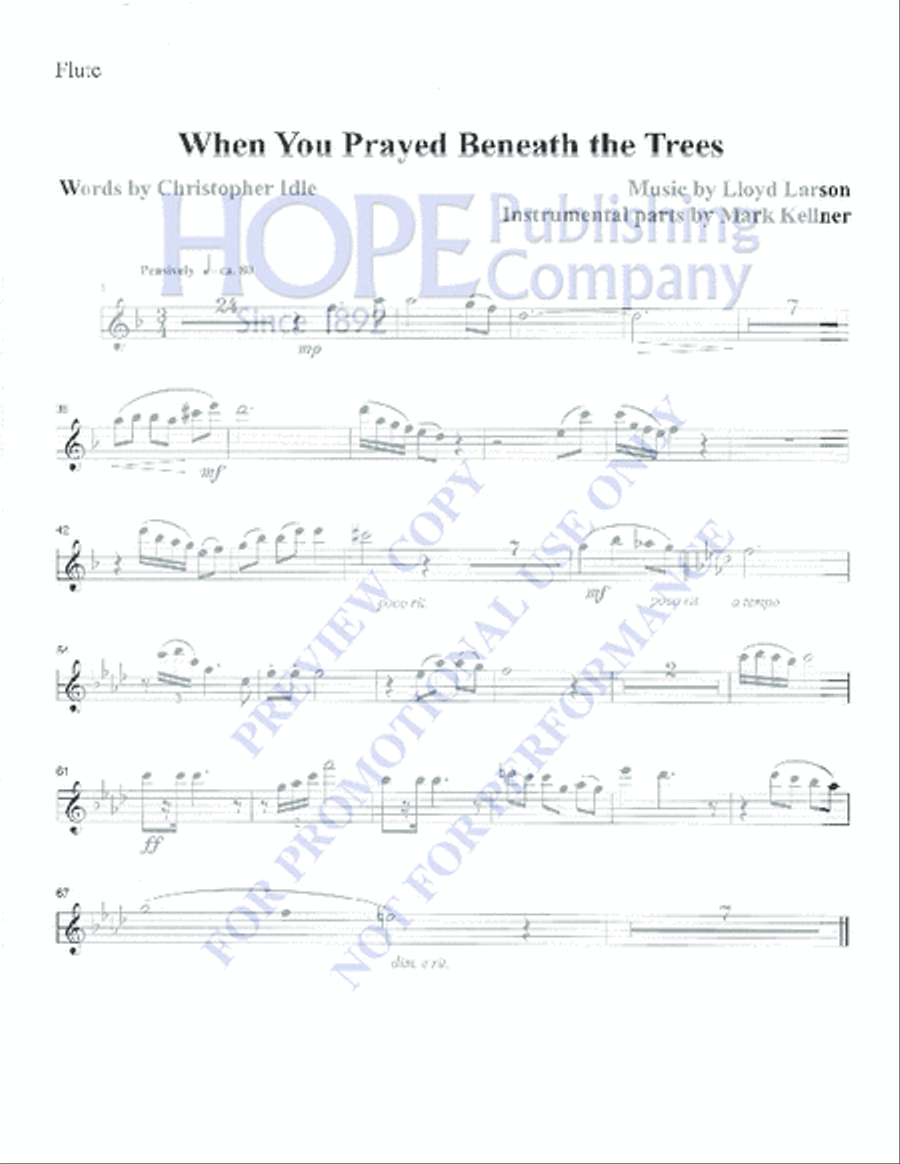 When You Prayed Beneath the Trees Flute scores gallery preview page 2