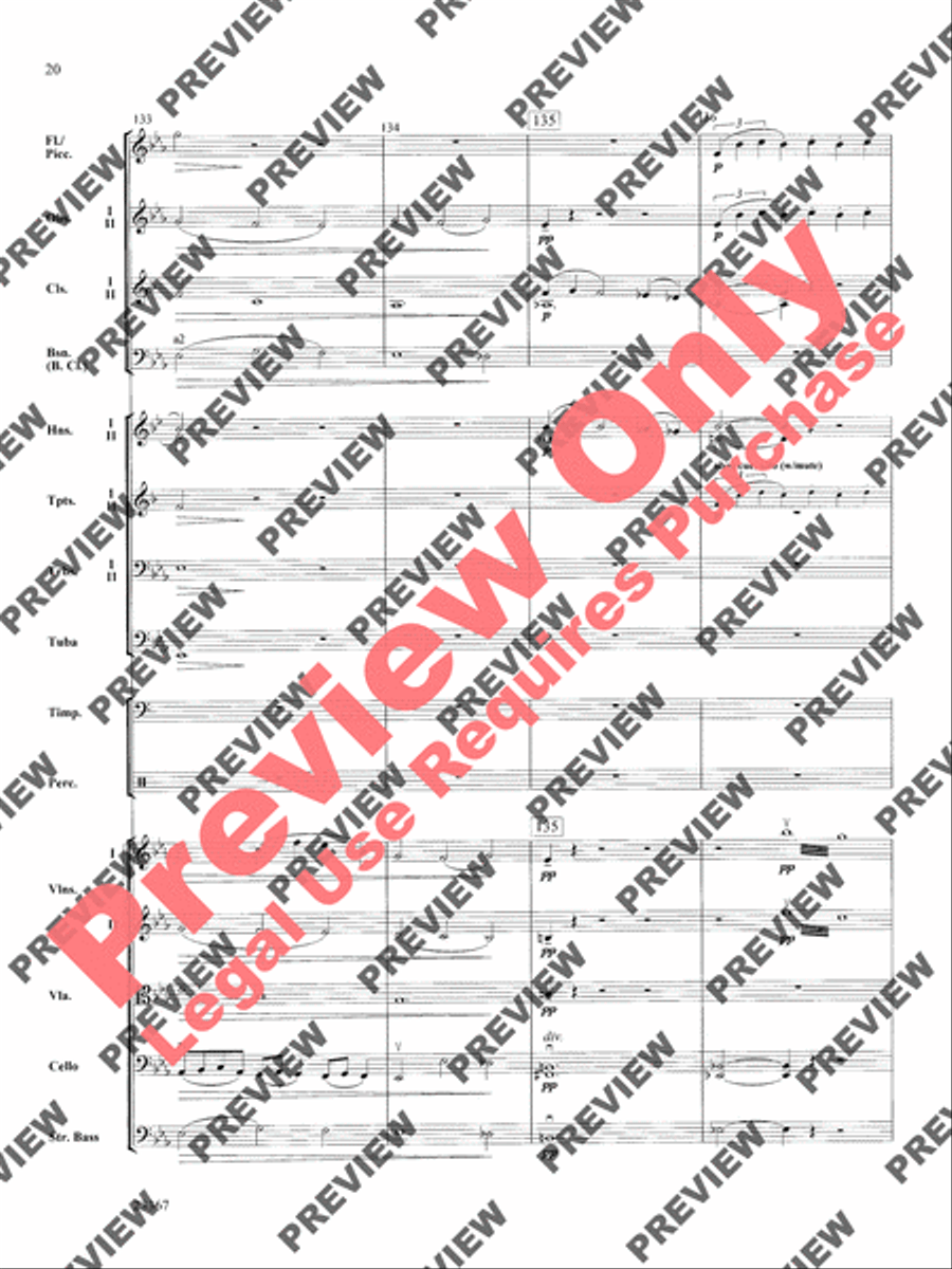 Overture to the Wasps Full Orchestra scores gallery preview page 20