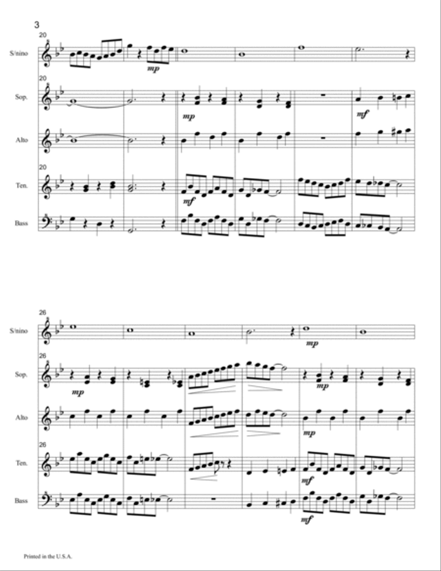 Chief Niwot Rag for Recorder Ensemble Soprano Recorder scores gallery preview page 3