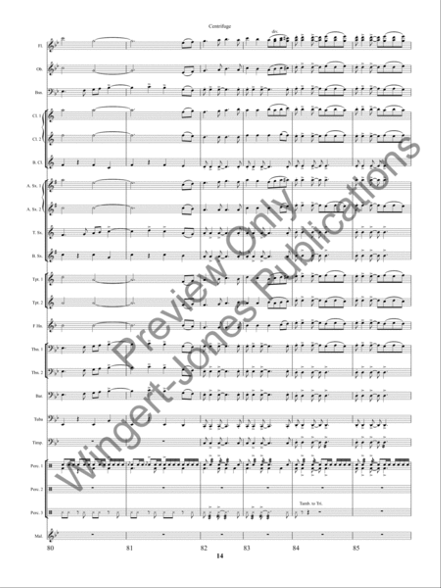 Centrifuge Centrifuge Concert Band scores gallery preview page 17