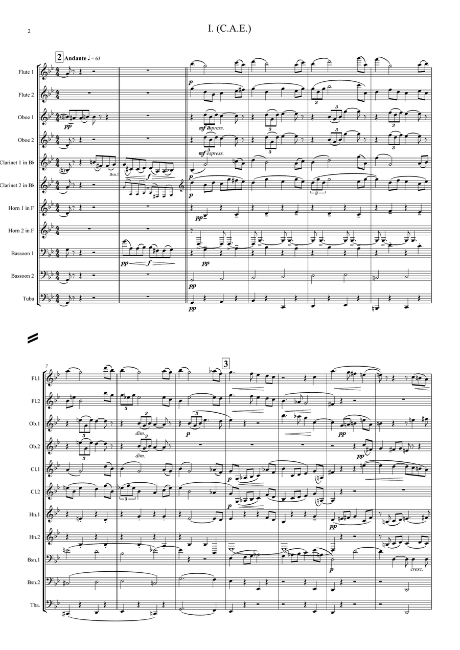 Elgar: Theme and 10 Variations (including Nimrod) from Enigma Variations Op.36 - wind dectet/bass Large Ensemble scores gallery preview page 2