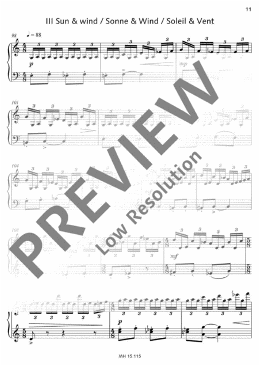 Sommer-Mosaik Sommer-Mosaik Accordion scores gallery preview page 12